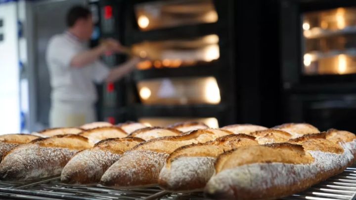 你知道什么样的烤箱烤什么样的面包更好吃吗 电烤箱和风炉买哪个好 烤德香烘焙